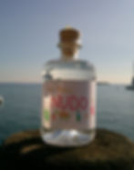 Miniatura: Gin Mario NUDO