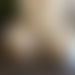 Whipped Shea Moisturiser