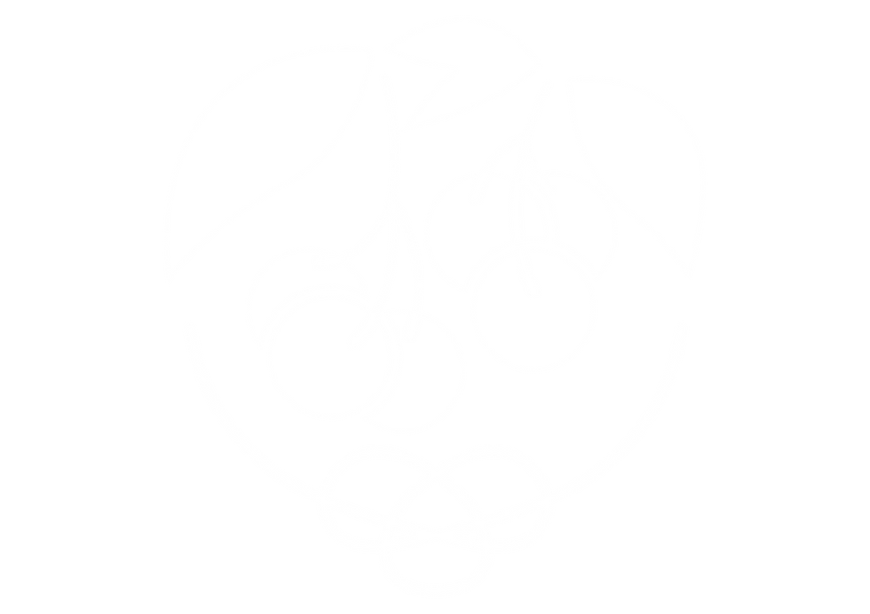 white_symbol