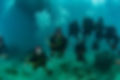 underwater photography diving
