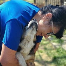 APAM Animal Sanctuary, Romania 