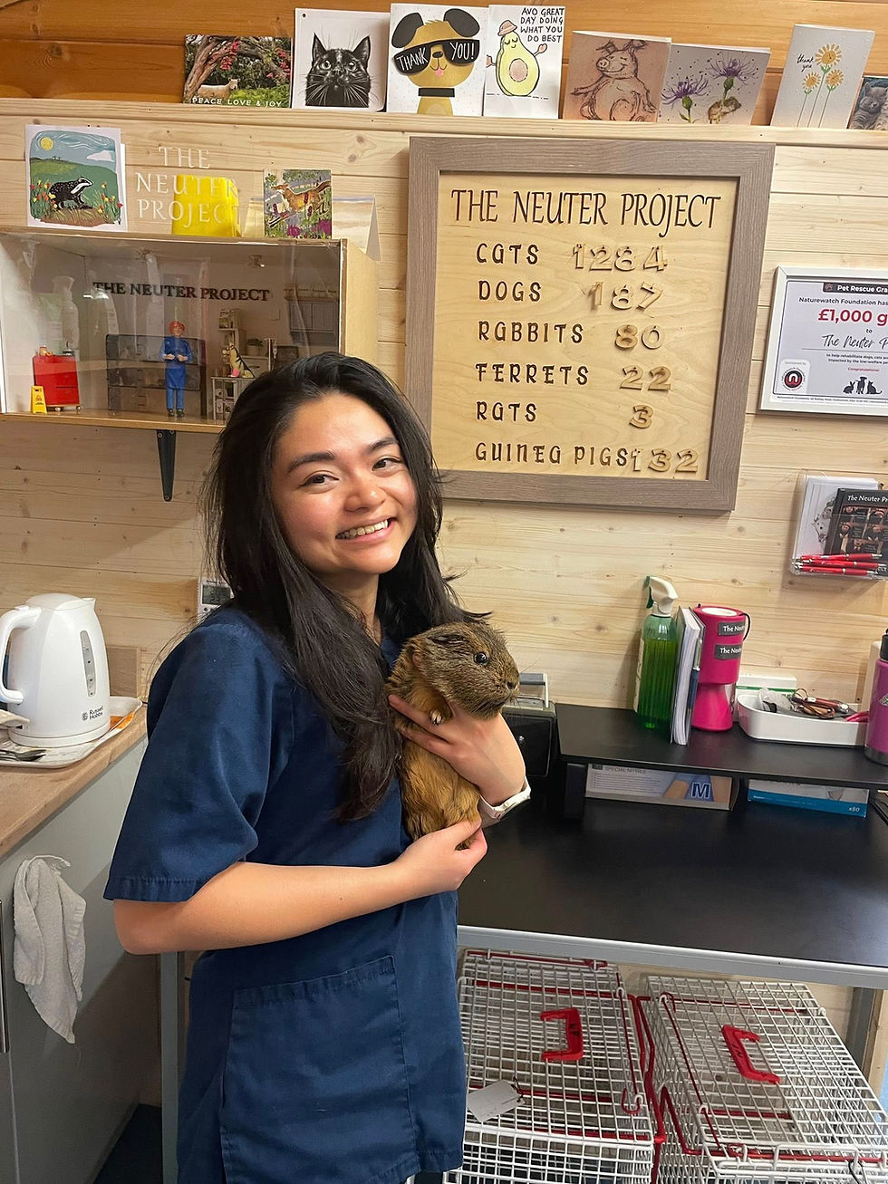 The Neuter Project, Kent, receives a £500 Angel Grant