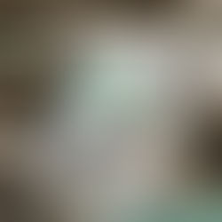 Safe Haven for Donkeys, West Sussex / Israel