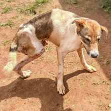 We Won't Be Scammed, UK 