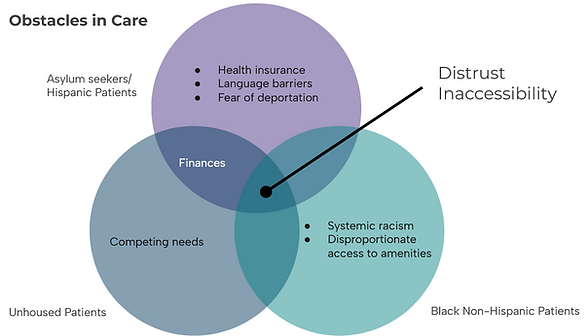 A venn diagram showing obstacles in care for the project's intended audience.