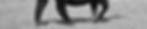 Sale Background - header.jpg