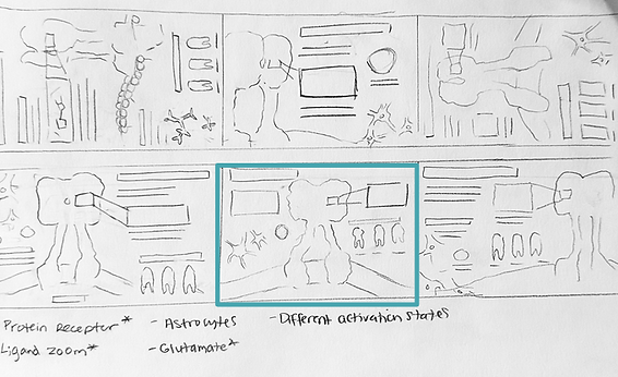 mGlu3_Sketches.png