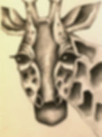 Graphite