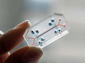 Organ-on-chip technology