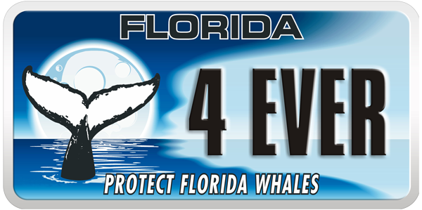 WhalePlate.png