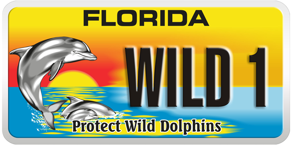 DolphinPlate.png