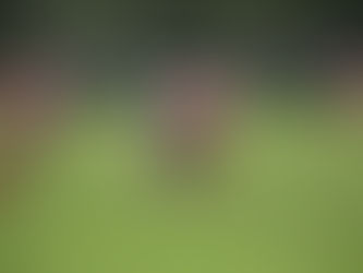 M.S.V.71 3 – MVV’27 3 2-2 (1-1)