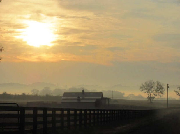 equine-retirement-farm-retired-horse-retire-horses-senior-care-31.jpeg