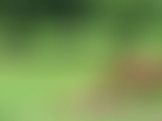 More on the Truck Debate