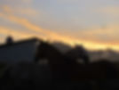 equine-retirement-farm-retired-horse-retire-horses-senior-care-48.jpg