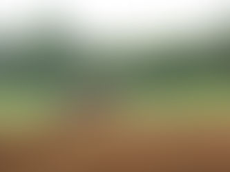 Our New ‘Hood and Breaking Ground on the Barn