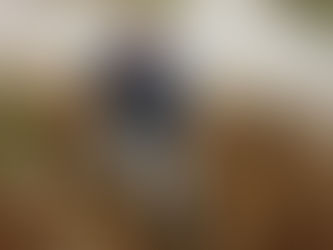 Pee Wee, Water Issues, Vet Visits Part II