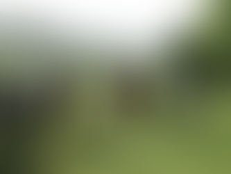 Sweating Through My . . . Phone?