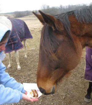 Happy Birthday MyLight