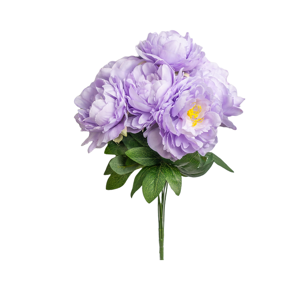 Thumbnail: 70003-20" Peony Bush x7