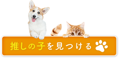 グループ 144.png