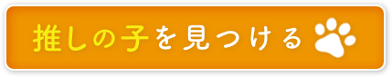 グループ 146.png