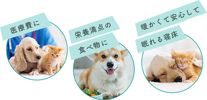 しっぽの輪 | 推し活で楽しく保護動物の支援