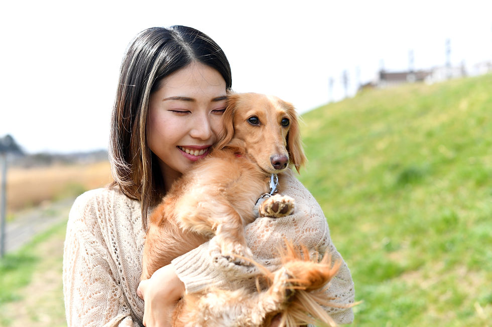 AdobeStock_494245330.jpeg