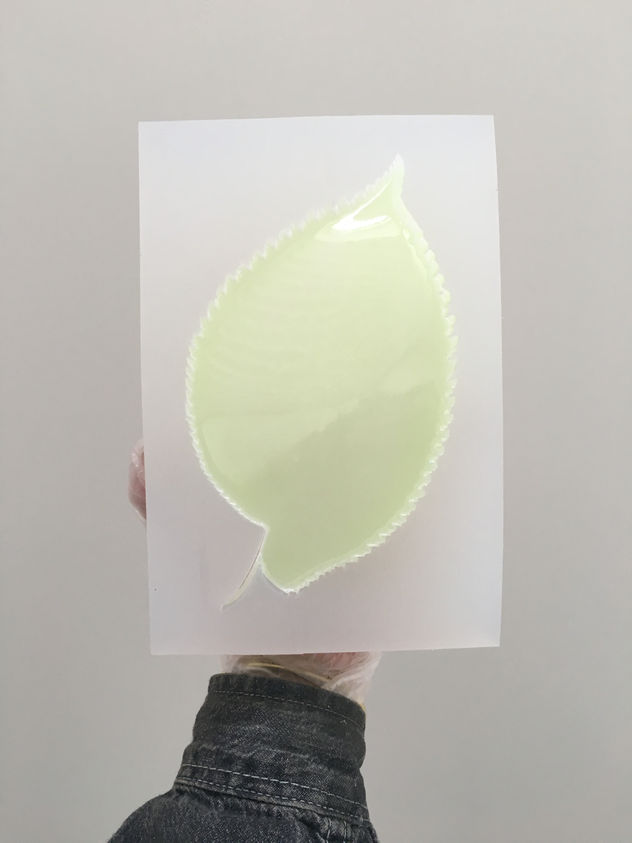 Hand holding translucent leaf, material test