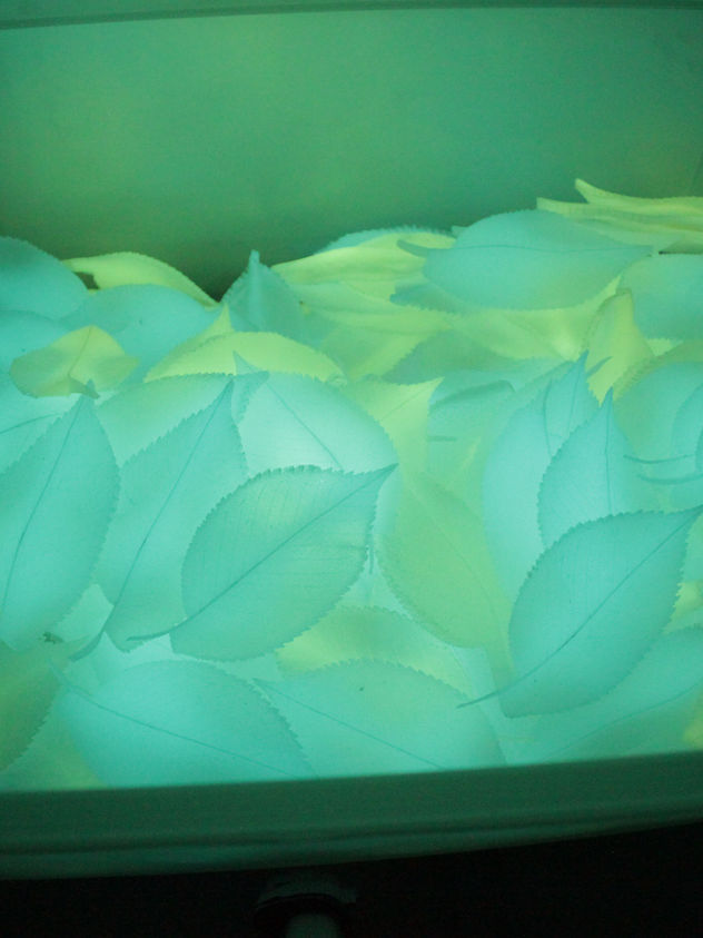Container with glowing leaves, production phase