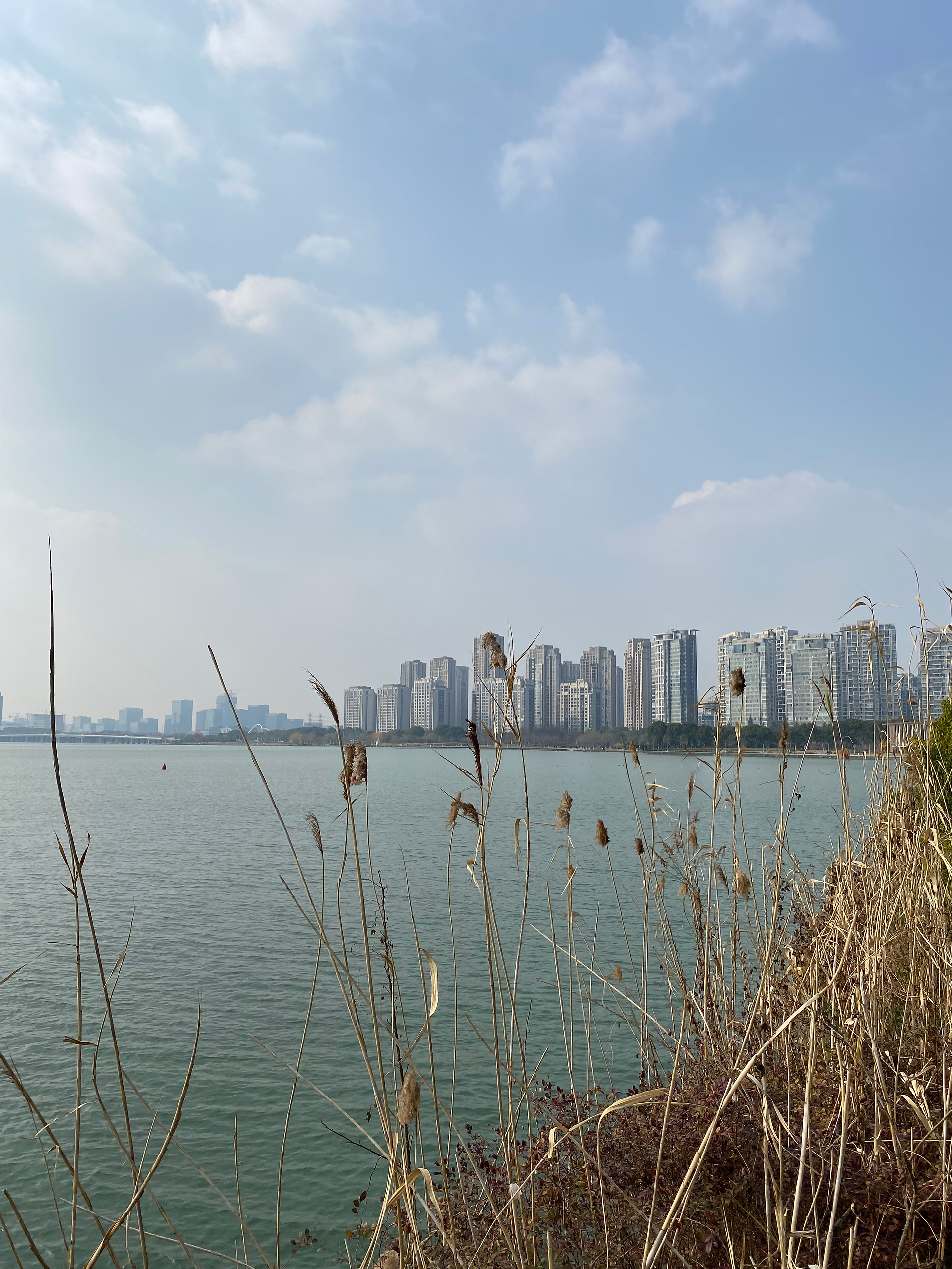 View of Suzhou from Jinji Lake