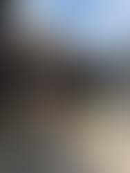 Lion Forest Garden - entrance of the pavilion