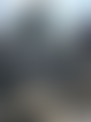 Lion Forest Garden - stairs to the pavilion