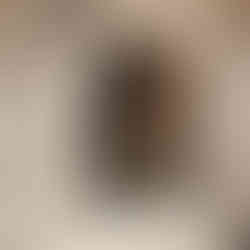 Twenties success Travel adventure to Turkey