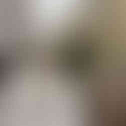 Budapest travel - Standing in front of a historic building