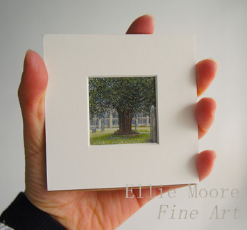 EllieMooreFineArtRafflePrize2Hilliard.jpeg raffle prize art to be won ancient yew