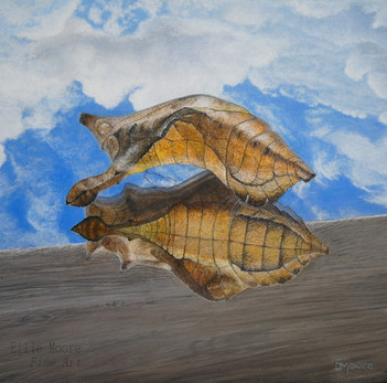 EllieMooreFineArtMetamorphosisacrylics.jpeg