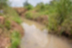 Aerial view of natural streams running through the 175-acre property, forming part of the land’s natural drainage system.