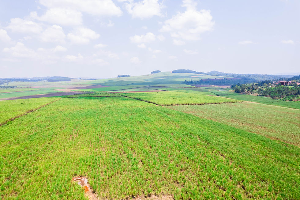 Aerial perspective showcasing the expansive scale and predominantly agricultural landscape of the 175-acre property, with surrounding farmland and gently undulating terrain visible across the area.