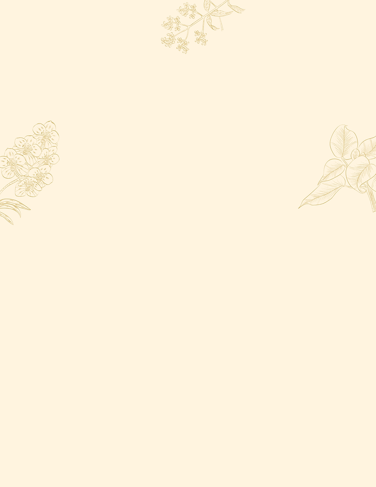 PARENTS ZEN 2.png