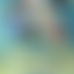 『ユングの心理機能ワークブック』