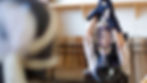 剣道.jpg