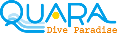 logo1.png