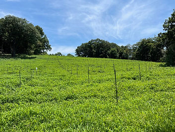 町田山２-2048x1536.jpg