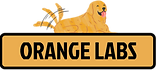 ロゴ_edited.png