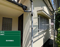 S__81084433.jpg