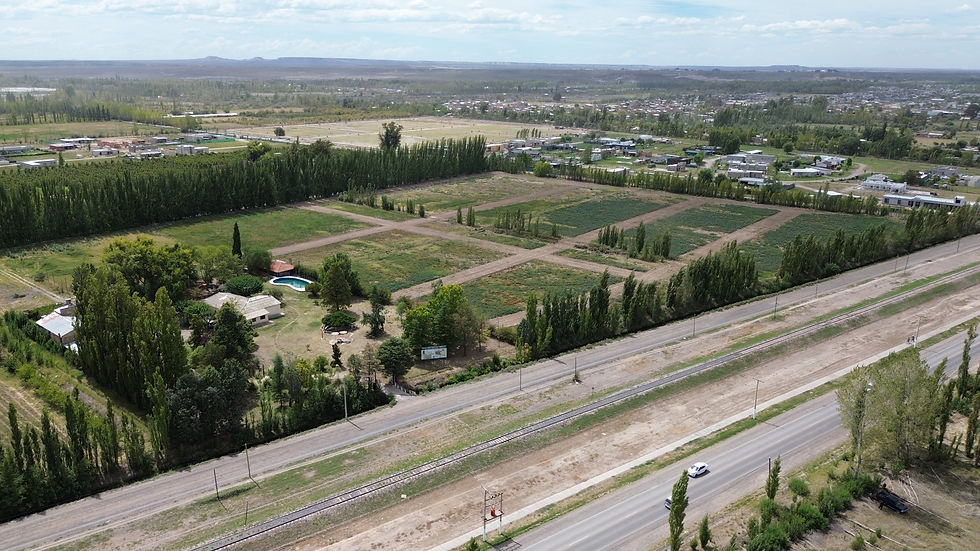 DJI_0085.JPG