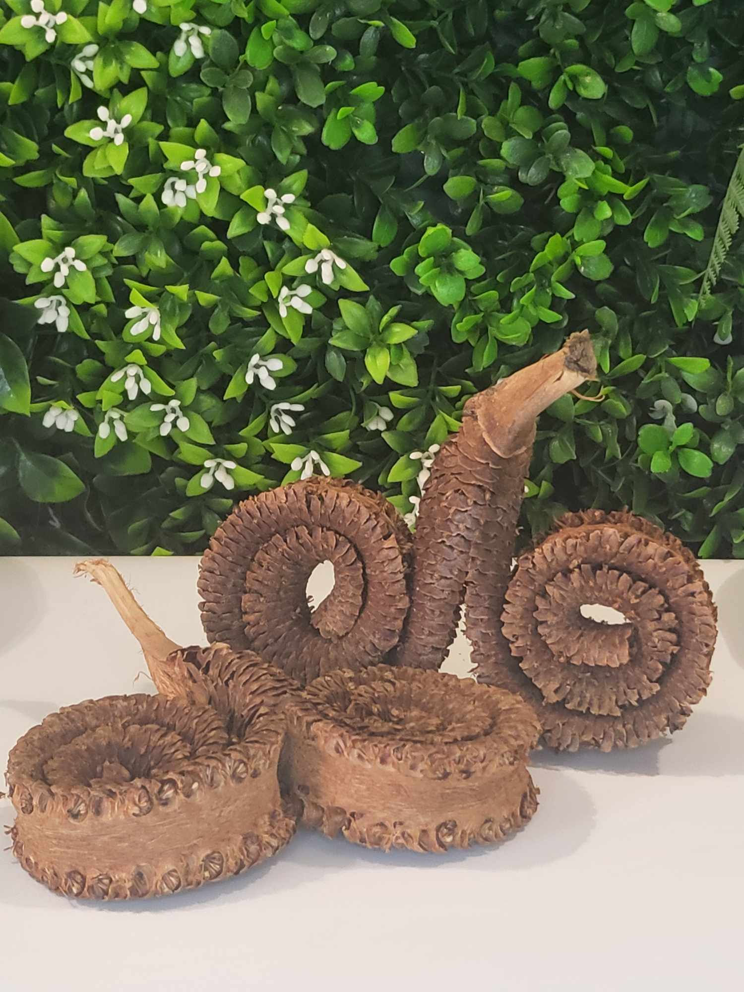 ANNEAUX DE PALMIERS