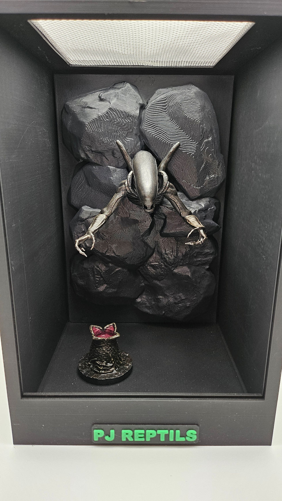 Miniature : TERRARIUM BLACK FOND ALIEN