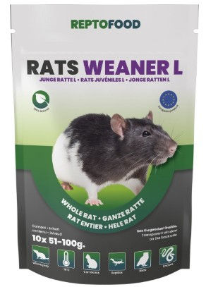 Miniature : REPTO Rats Juvéniles à Adultes